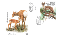 Animals in our nature with their young