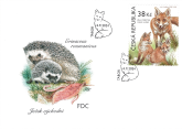 Animals in our nature with their young