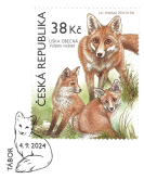 Animals in our nature with their young