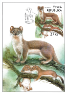 Zvířata v naší přírodě s mláďaty