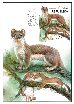 Animals in our nature with their young