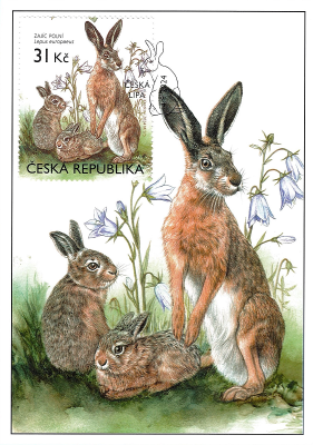 Animals in our nature with their young