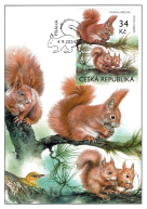 Zvířata v naší přírodě s mláďaty