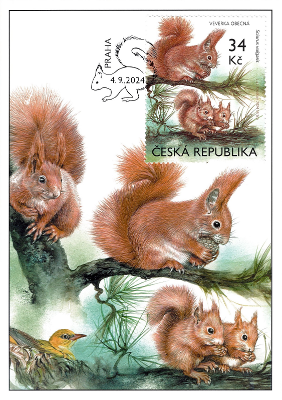 Animals in our nature with their young