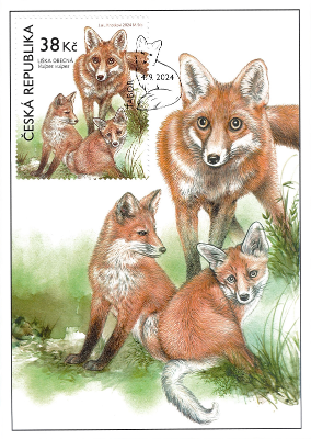 Animals in our nature with their young