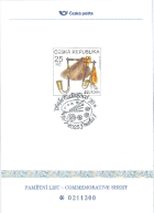 Vlasta Matoušová – 70. narozeniny