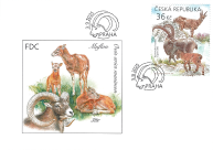 European Animals with their Young
