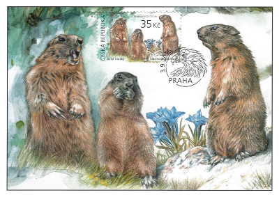 European Animals with their Young