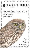 100 let ČSO – sýček obecný