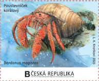 Poustevníček korálový