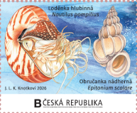 Loděnka hlubinná