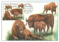 Ochrana přírody — Zoologické zahrady II. — Chomutov