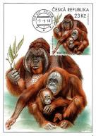 Ochrana přírody: Zoologické zahrady III. — Ústí n. Labem