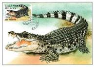 Ochrana přírody – Zoologické zahrady IV
